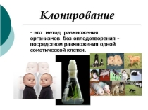 Презентация по предмету Естествознание, раздел Биология