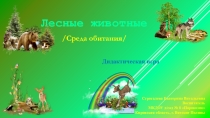 Дидактическая игра для детей дошкольного возраста по ознакомлению с окружающим миром
