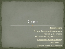 Слон 3 класс