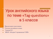 Презентация по английскому языку на тему Разделительные вопросы (5 класс)