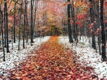 Презентация по русскому языку в 5 классе на тему: Обобщающий урок по теме Синтаксис и пунктуация