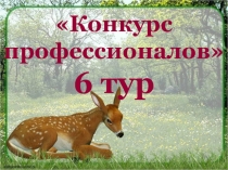 Презентация интеллектуально - познавательная игра Знаешь ли ты свой край? (для обучающихся интерната), часть 2