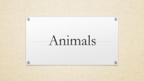 Презентация по английскому языку Animals 2 класс