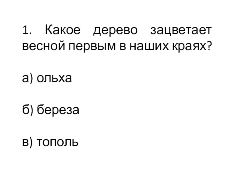 Презентация к классному часу 1. Какое дерево зацветает весной первым в наших краях? а) ольха б) береза в) тополь 1. Какое дерево зацветает весной первым в наших краях? а) ольха б) береза в) тополь