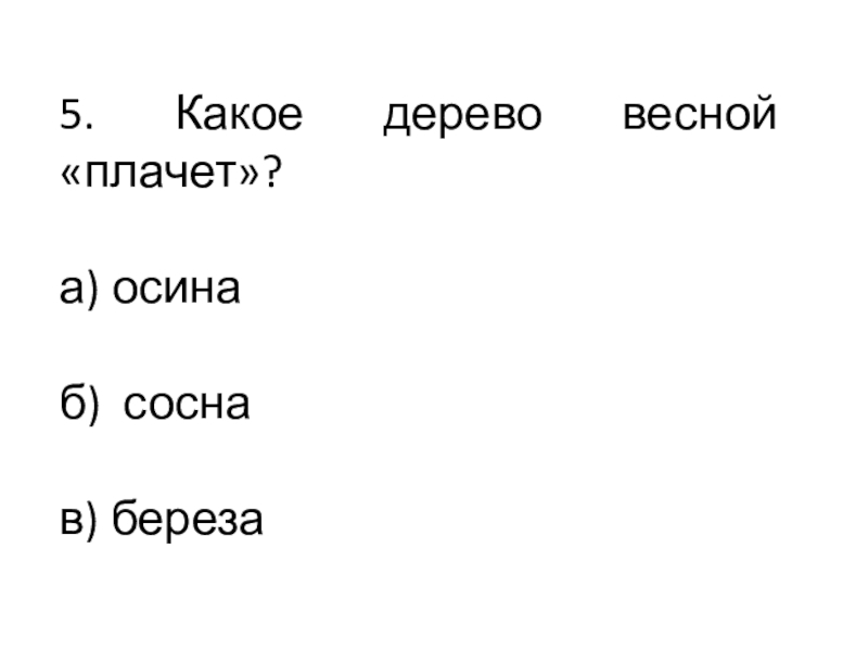 Презентация к классному часу 5. Какое дерево весной «плачет»? а) осинаб) соснав) береза 5. Какое дерево весной «плачет»? а) осинаб) соснав) береза