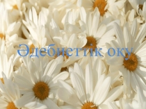 Презентация по литературному чтению Балапан қанат қақты