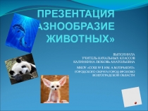 Презентация по окружающему миру для младших школьников Разнообразие животных