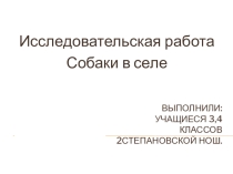 Презентация исследовательской работы учащихся на тему: Собаки в селе