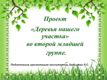 Презентация по ознакомлению с окружающим миром Деревья нашего участка