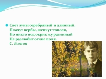 Презентация по русскому языку по теме н и нн в именах прилагательных