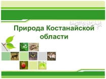 Презентация для классного часа Природа Костанайской области