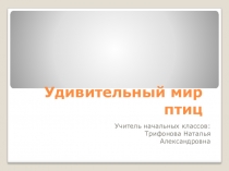 Презентация по окружающему миру на тему Птицы (1 класс)