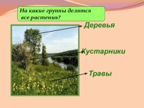 Презентация к уроку  Части растений