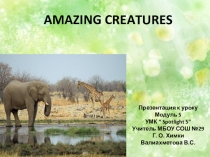 Презентация к уроку английского языка в 5 классе Amazing creatures