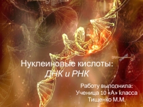 Презентация по химии 10 класс ДНК и РНК