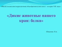 Дикие животные нашего края: белка.