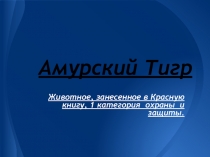 Презентация по биологии на тему: Амурский тигр