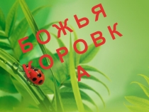Презентация к технологии Божья коровка