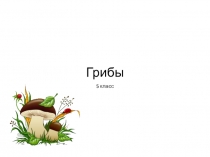 Презентация Грибы 5 класс