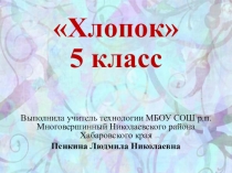 Презентация по технологии на тему Хлопок (5 класс)