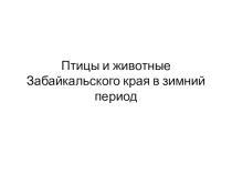 Презентация на классный час Птицы и животные Забайкальского края в зимний период