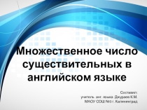 Презентация по английскому языку для учащихся 6-9 классов на тему Множественное число существительных в английском языке