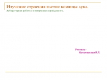 Презентация к уроку биологии Строение клетки кожицы лука - лаб работа