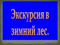 Презентация Экскурсия в зимний лес
