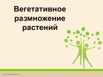 Презентация по биологии  Вегетативное размножение растений