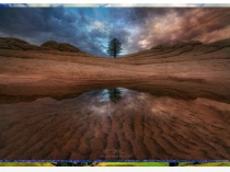 Презентация к внеурочному занятию Зеленая планета