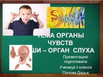 Презентация по окр. миру 3 класс