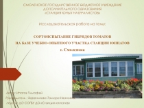 Исследовательская работа на тему: СОРТОИСПЫТАНИЕ ГИБРИДОВ ТОМАТОВ НА БАЗЕ УЧЕБНО-ОПЫТНОГО УЧАСТКА СТАНЦИИ ЮННАТОВ г. Смоленска