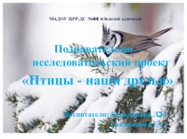 Презентация к проекту Птицы