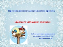 Презентация исследовательской деятельности в ДОУ