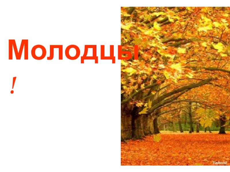 Презентация к уроку музыки Классические танцы Молодцы! Молодцы!
