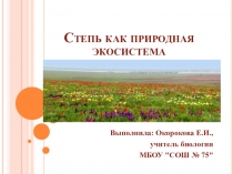 Презентация по биологии Степь как природная экосистема (11 класс)