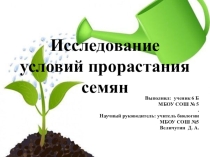 Исследование условий прорастания семян.
