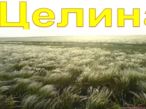 Презентация: Здравствуй, земля целинная!