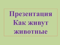 Презентация по окружающему миру тема Как живут животные