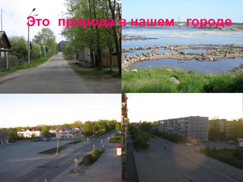 Презентация к экологической игре Экологический серпантин (районное мероприятие, МБОУ СОШ № 1) Это природа в нашем городе Это природа в нашем городе