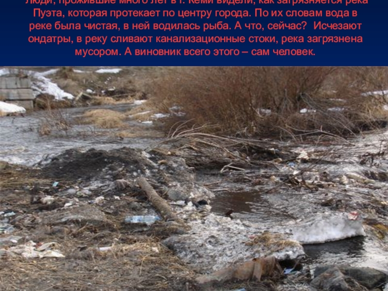 Презентация к экологической игре Экологический серпантин (районное мероприятие, МБОУ СОШ № 1) Люди, прожившие много лет в г. Кеми видели, как загрязняется Люди, прожившие много лет в г. Кеми видели, как загрязняется река Пуэта, которая протекает по центру