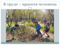 Презентация В труде красота человека