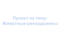 Презентация защита проекта Животные рекордсмены