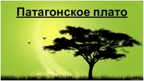 Южная Америка Патагонское плато