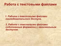 Презентация по информатике на темуПрограммирование в среде VB. Работа с текстовыми файлами