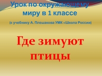 Где зимуют птицы