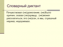 Презентация по русскому языку в 6 классе на тему НЕ с прилагательными