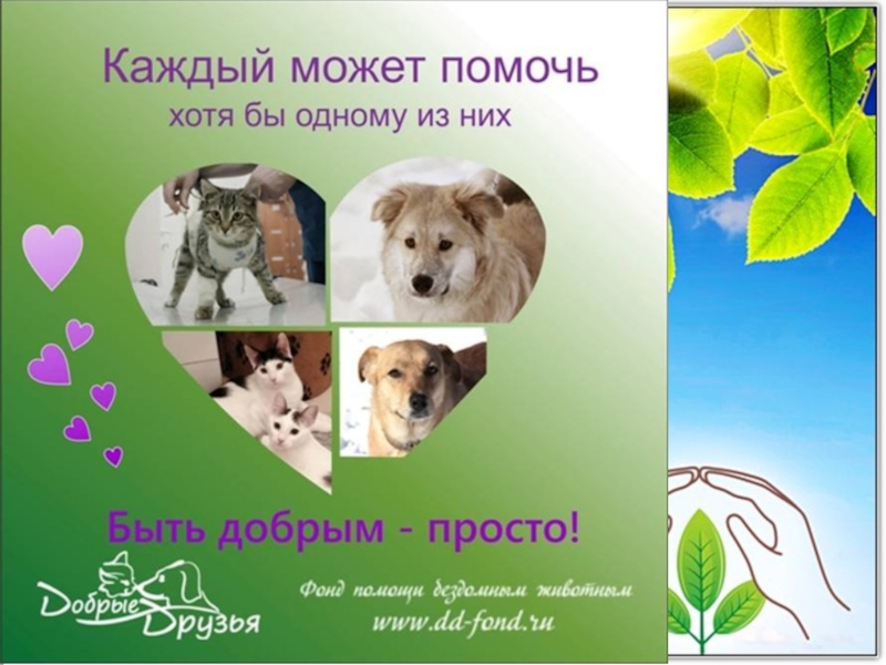 Презентация ко Дню защиты животных