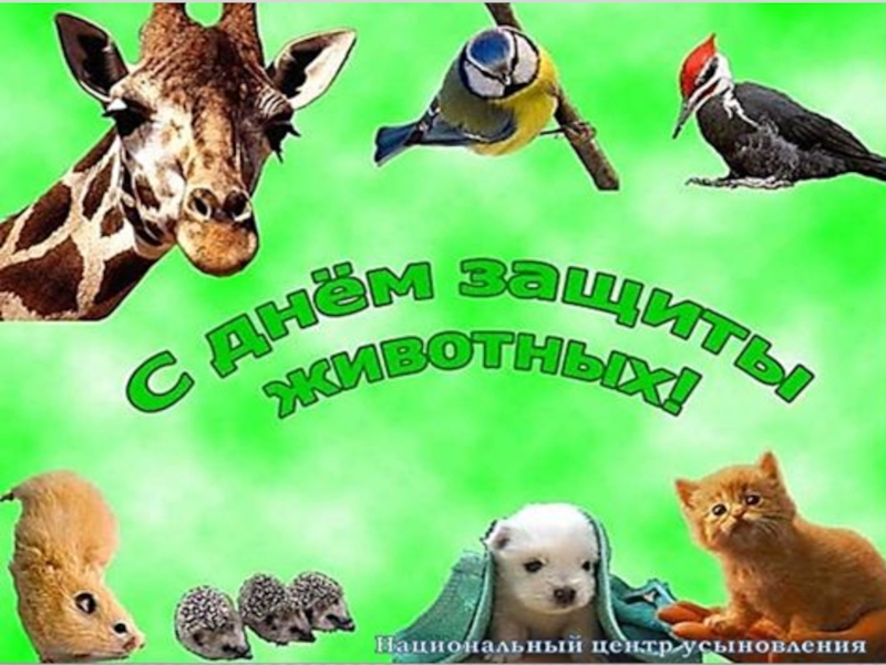 Презентация на тему