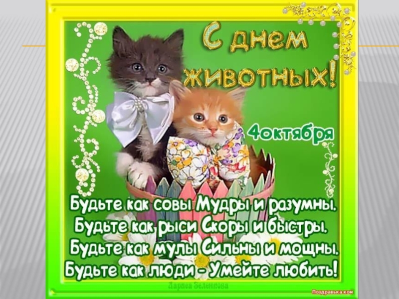 Презентация ко Дню защиты животных
